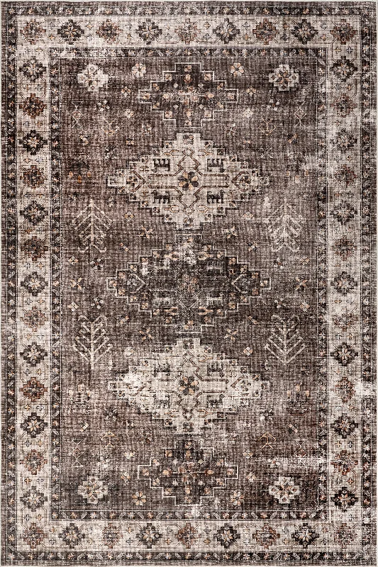 Barbary Distressed Spill Proof Washable Rug | Dark Brown