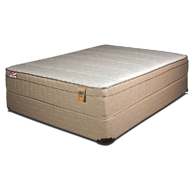 Furniture of America Englander 13-inch Twin-size Euro Top Mattress