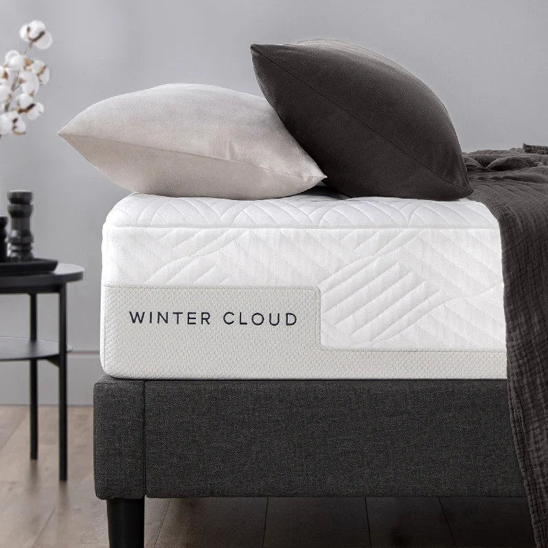 Priage by ZINUS 12 Inch Winter Cloud Memory Foam Mattress